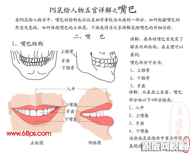 在左图可以看到,嘴巴部分可分为:上颚骨,下颚骨,牙齿