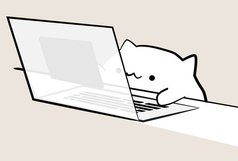 猫敲键盘 表情包图片