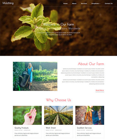 生态农业种植采摘园静态html网页模板