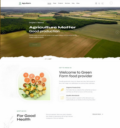 大气生态农业蔬菜粮食生产销售