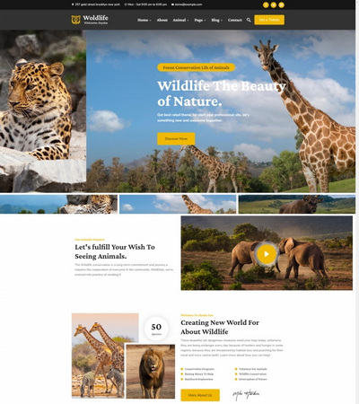 响应式野生动物保护宣传网站模