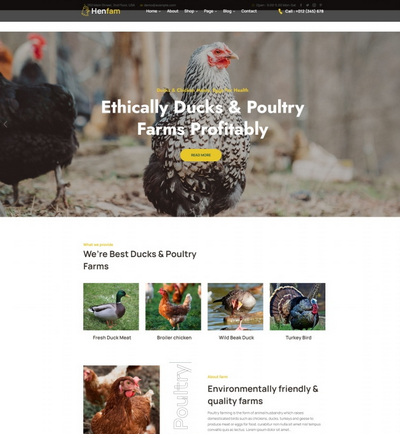 生态农场家禽养殖html5企业模