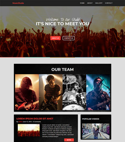 响应式演唱会音乐演出专题页网站模板