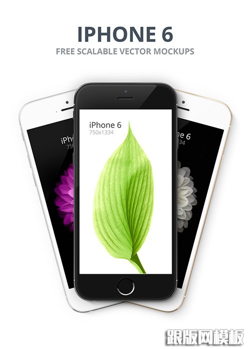 Free iPhone 6 and iPhone 6 Plus Mockup Templates (PSD, AI & Sketch) - Free Download - 27